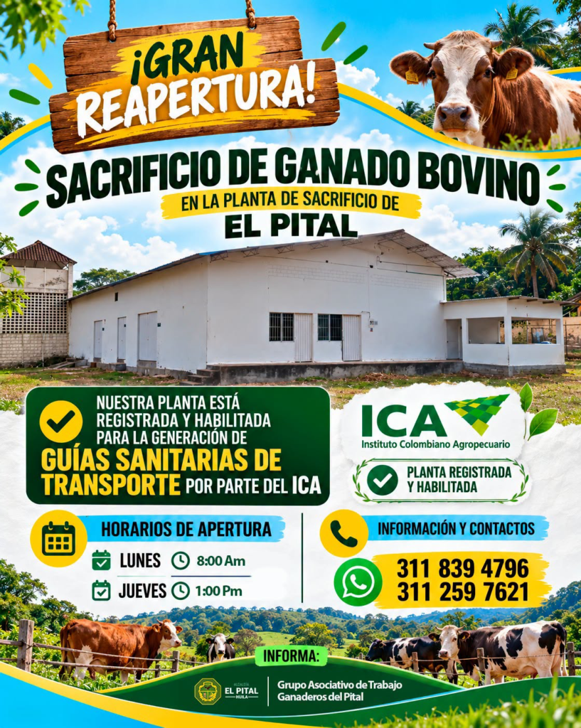 Planta de beneficio animal fue reabierta en el municipio de El Pital 1