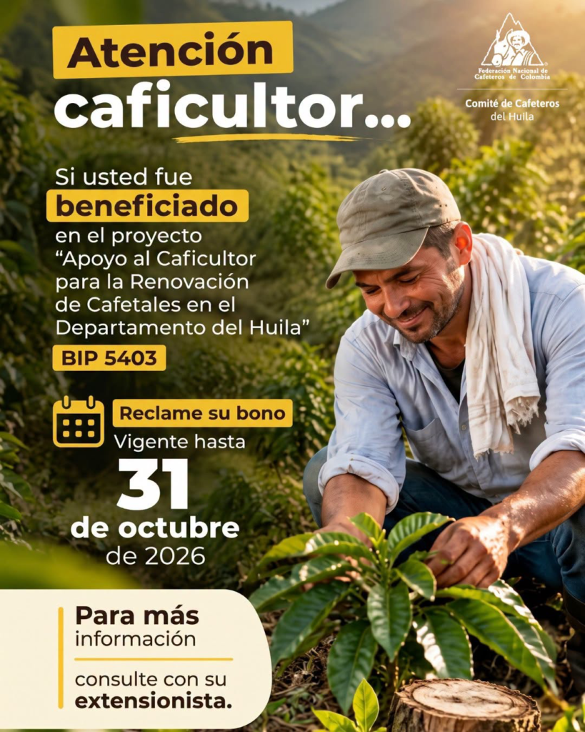 Cafeteros huilenses recibirán paquete de incentivos 1